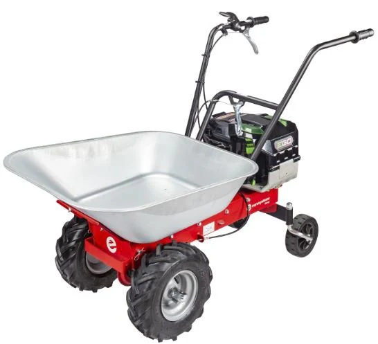 Vorschaubild 1